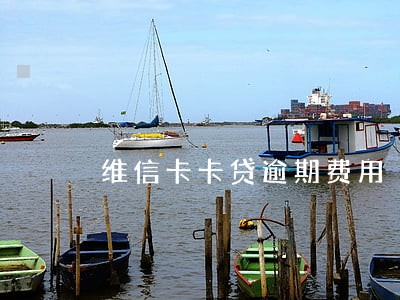 维信卡卡贷逾期费用 维信卡卡贷逾期费用