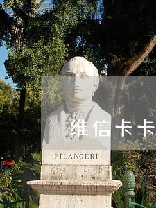维信卡卡贷逾期追债 维信卡卡贷逾期追债