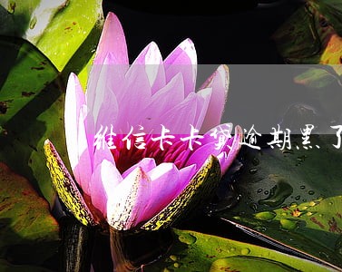 维信卡卡贷逾期黑了征信 维信卡卡贷逾期黑了征信
