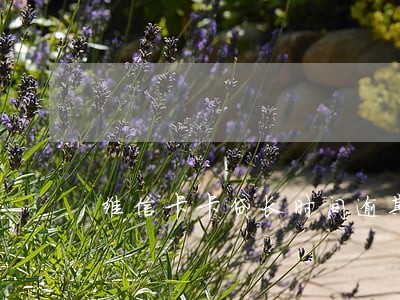 维信卡卡贷长时间逾期