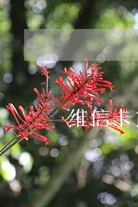 维信卡贷逾期两个月了会怎么样