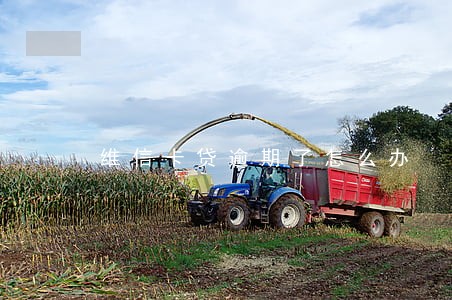 维信卡贷逾期了怎么办 维信卡贷逾期了怎么办