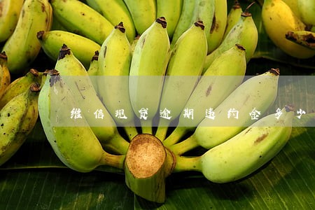 维信现贷逾期违约金多少 维信现贷逾期违约金多少