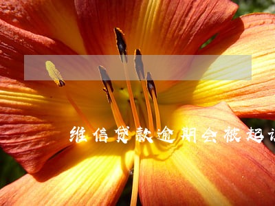 维信贷款逾期会被起诉吗 维信贷款逾期会被起诉吗