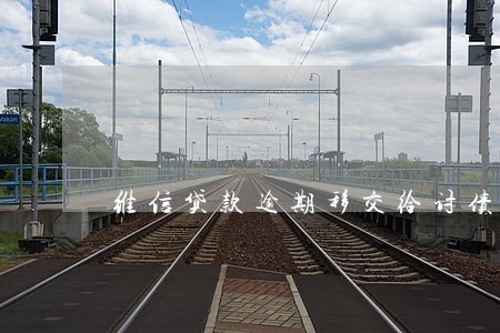 维信贷款逾期移交给讨债公司