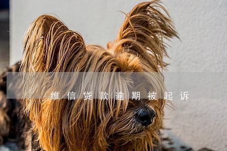 维信贷款逾期被起诉 维信贷款逾期被起诉