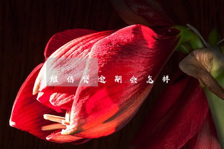 维信贷逾期会怎样 维信贷逾期会怎样