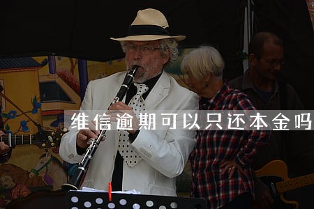 维信逾期可以只还本金吗 维信逾期可以只还本金吗