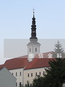维信金科线下贷款逾期 维信金科线下贷款逾期