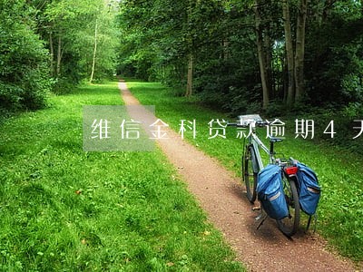 维信金科贷款逾期4天 维信金科贷款逾期4天