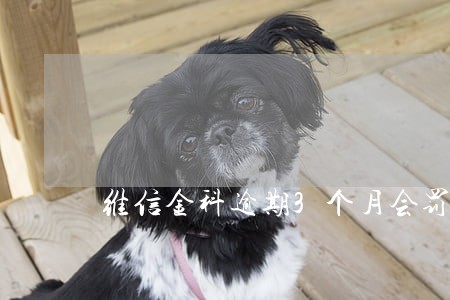 维信金科逾期3个月会罚息多少 维信金科逾期3个月会罚息多少