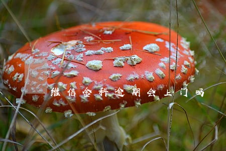 维信金科逾期会上门吗 维信金科逾期会上门吗