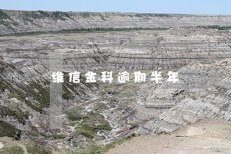 维信金科逾期半年 维信金科逾期半年