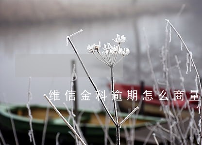 维信金科逾期怎么商量还本金 维信金科逾期怎么商量还本金