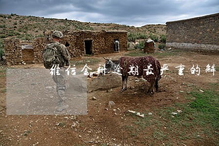 维信金科逾期最严重的解决方法 维信金科逾期最严重的解决方法