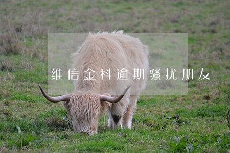 维信金科逾期骚扰朋友 维信金科逾期骚扰朋友