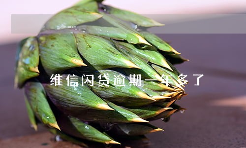 维信闪贷逾期一年多了 维信闪贷逾期一年多了