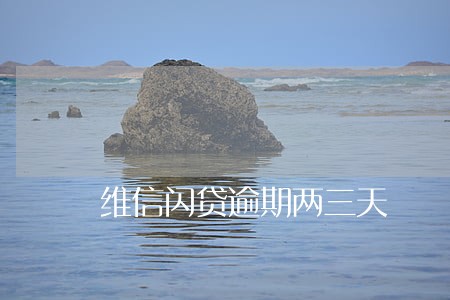 维信闪贷逾期两三天 维信闪贷逾期两三天