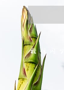 维信闪贷逾期半年 维信闪贷逾期半年