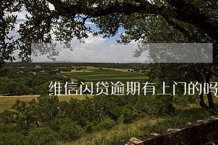 维信闪贷逾期有上门的吗 维信闪贷逾期有上门的吗