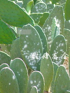 维修基金晚交有没有逾期费 维修基金晚交有没有逾期费