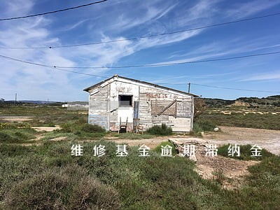维修基金逾期滞纳金 维修基金逾期滞纳金