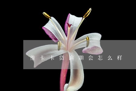 维卡卡贷逾期会怎么样 维卡卡贷逾期会怎么样