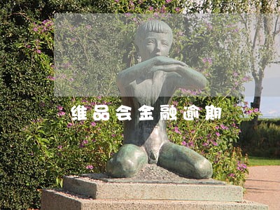 维品会金融逾期