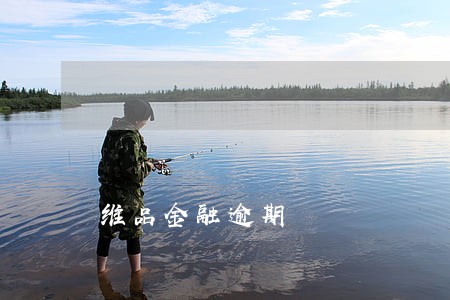 维品金融逾期 维品金融逾期