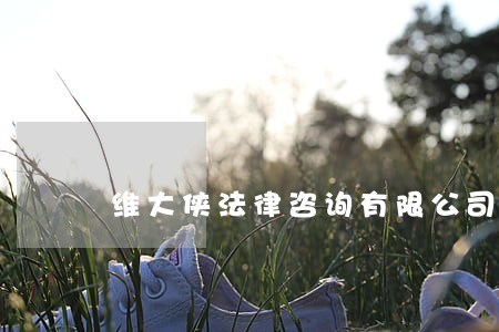 维大侠法律咨询有限公司 维大侠法律咨询有限公司