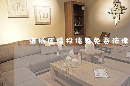 维扬区债权债务免费法律咨询热线