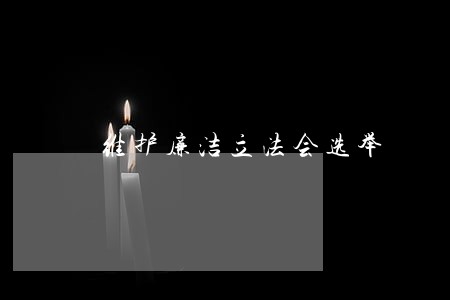 维护廉洁立法会选举 维护廉洁立法会选举