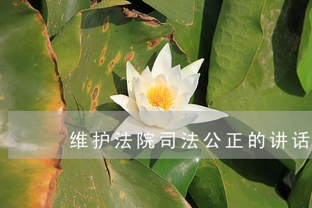 维护法院司法公正的讲话 维护法院司法公正的讲话