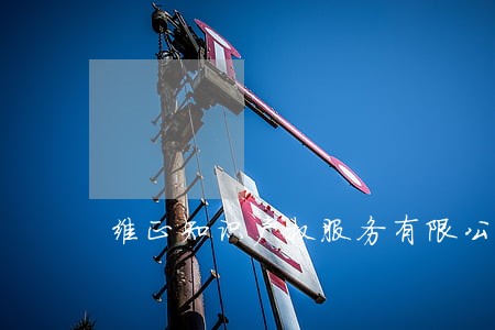 维正知识产权服务有限公司 维正知识产权服务有限公司