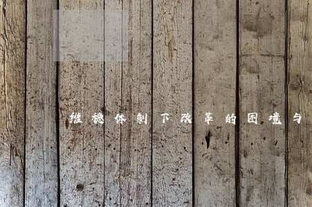 维稳体制下改革的困境与出路