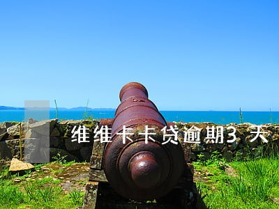 维维卡卡贷逾期3天