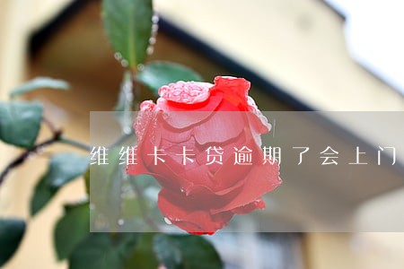维维卡卡贷逾期了会上门吗 维维卡卡贷逾期了会上门吗