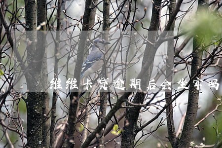 维维卡贷逾期后会坐牢吗 维维卡贷逾期后会坐牢吗