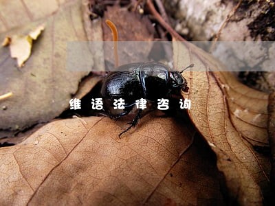 维语法律咨询