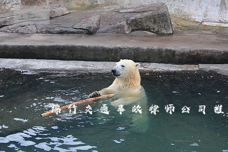 绵竹交通事故律师公司推荐 绵竹交通事故律师公司推荐