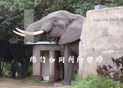 绵竹合同纠纷律师 绵竹合同纠纷律师