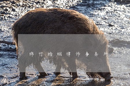 绵竹婚姻律师事务所 绵竹婚姻律师事务所