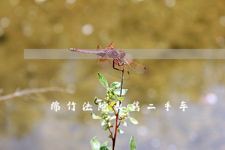 绵竹法院出售二手车 绵竹法院出售二手车
