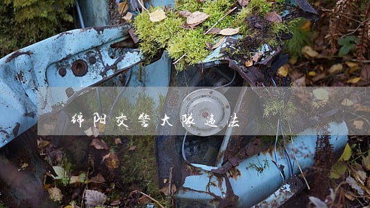 绵阳交警大队违法 绵阳交警大队违法