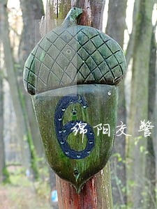 绵阳交警电子眼违法处理