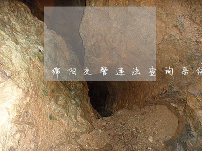 绵阳交警违法查询系统 绵阳交警违法查询系统