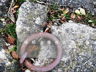 绵阳交通违法查询系统 绵阳交通违法查询系统