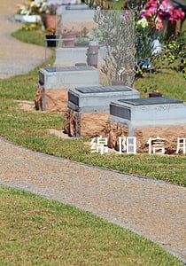 绵阳信用卡逾期停息分期申请条件