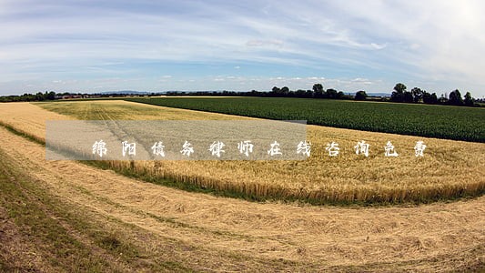 绵阳债务律师在线咨询免费