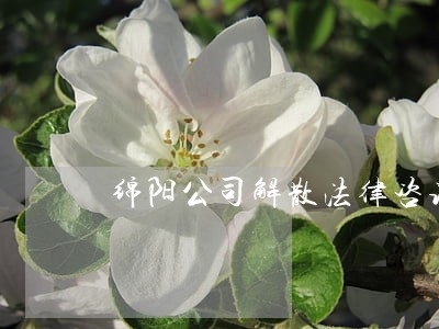 绵阳公司解散法律咨询热线 绵阳公司解散法律咨询热线